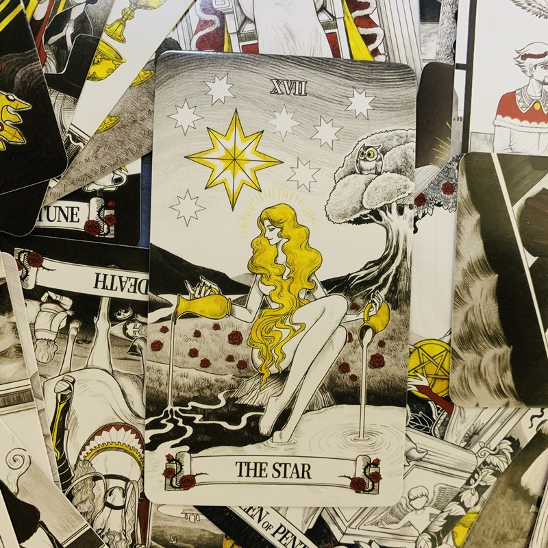 Secret Mirror Tarot cards 80 d - đánh giá và giá Board Game Of Life